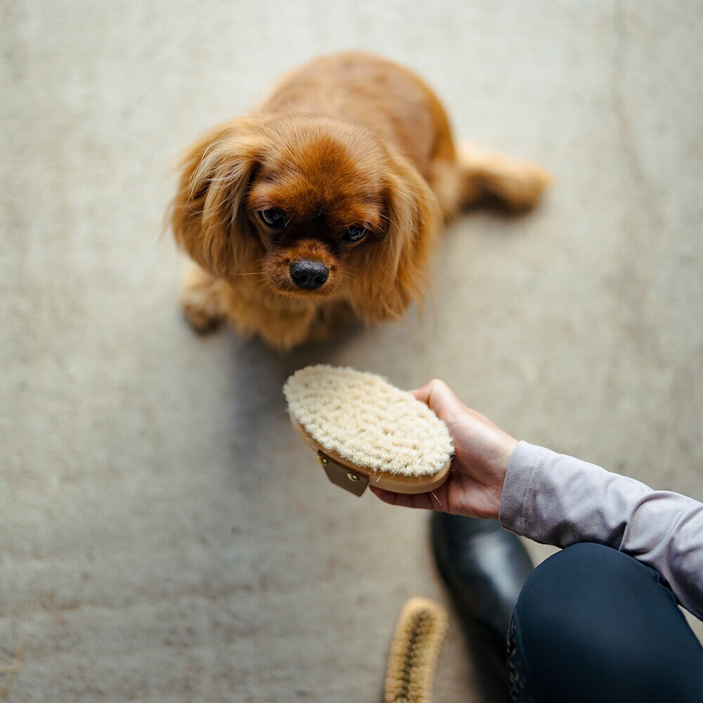 Gethårsborste med Läderrem S