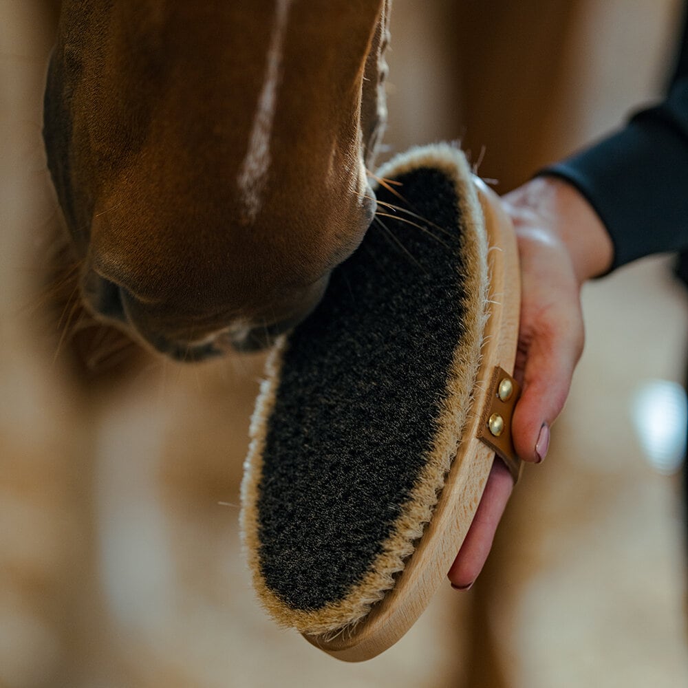 Ryktborste med läderrem Tagel L
