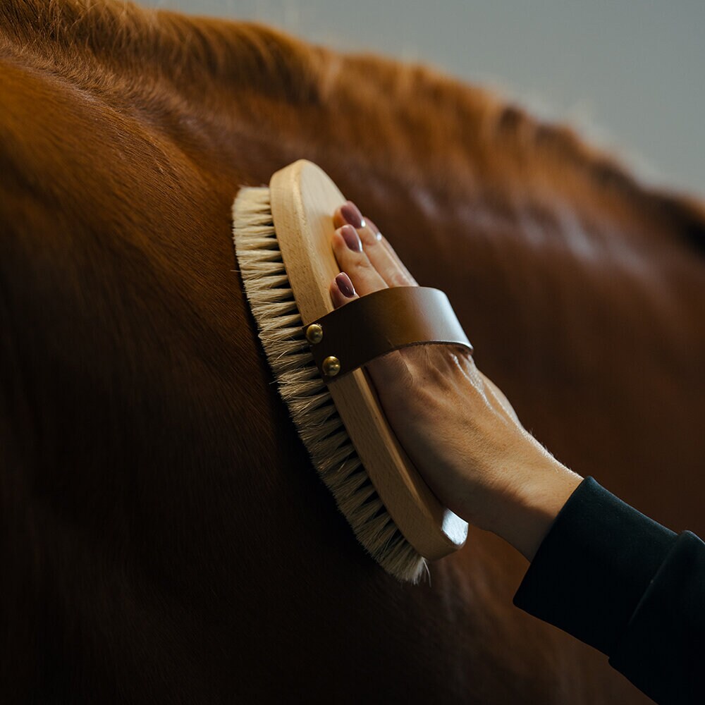 Ryktborste med läderrem Tagel L