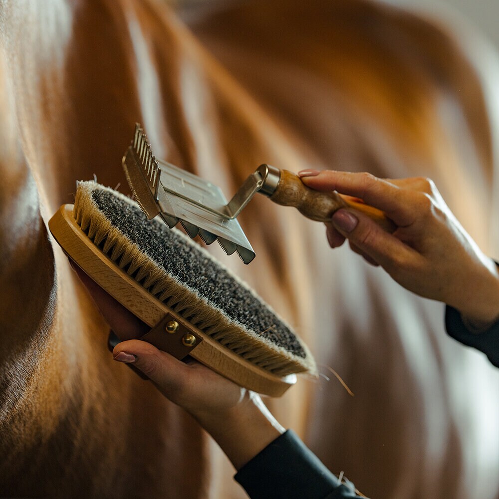 Ryktborste med läderrem Tagel L