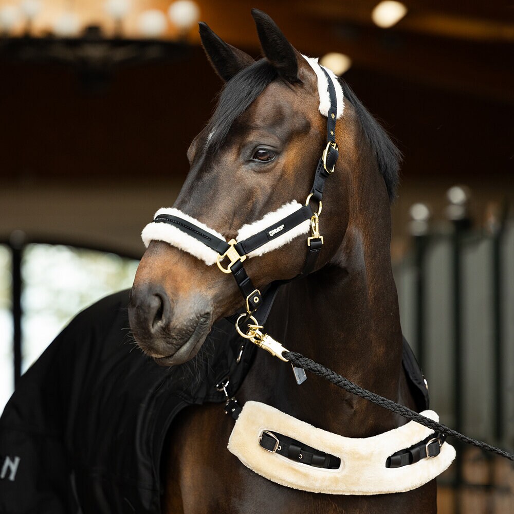 Skrittmaskinstäcke DELTA II FLEECE + 50 g