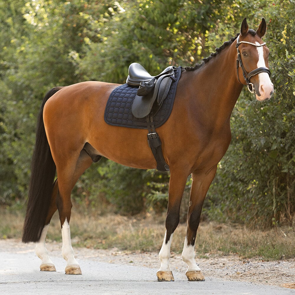 Schabrak COTTON MOLTON