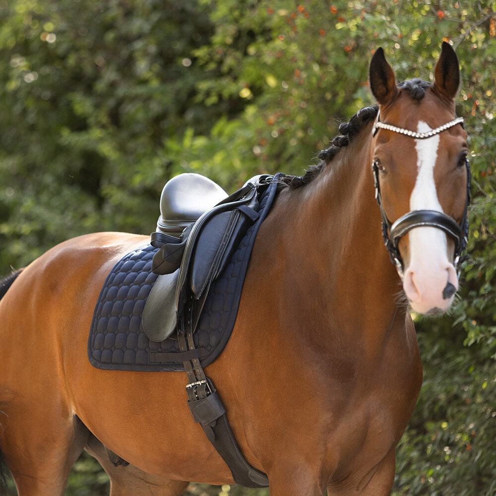 Schabrak COTTON MOLTON