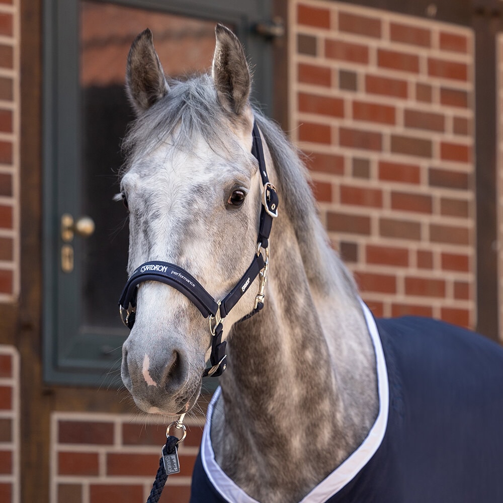 Grimma DOUBLE PIN BUCKLE SOFTSHELL