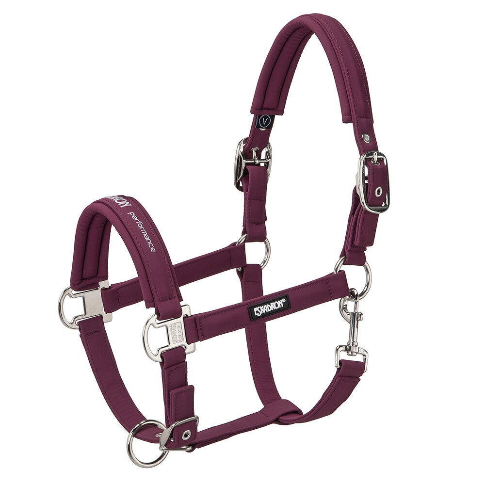 Grimma DOUBLE PIN BUCKLE SOFTSHELL