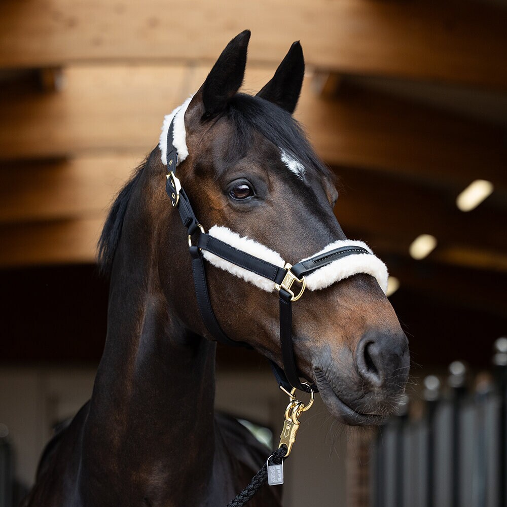 Grimma EVO-WOOL DOUBLE PIN