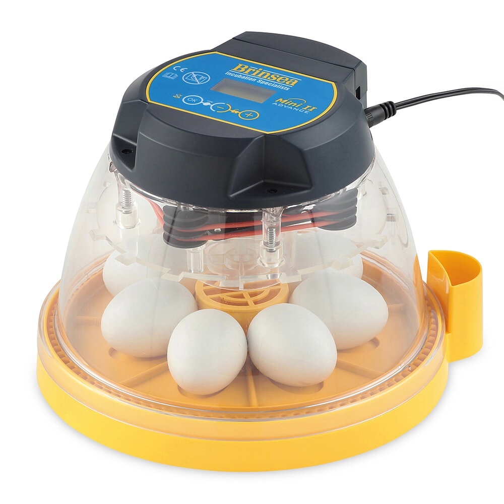 Äggkläckare Mini II Advance