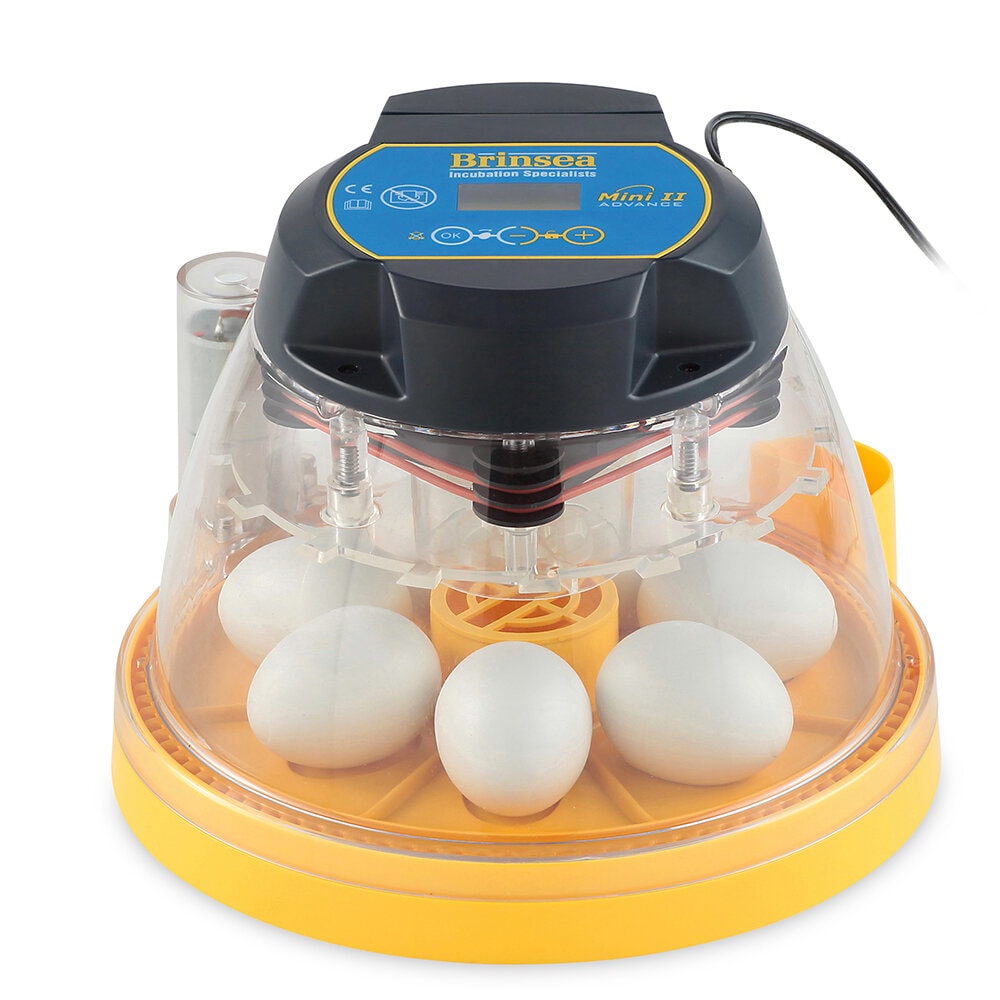 Äggkläckare Mini II Advance