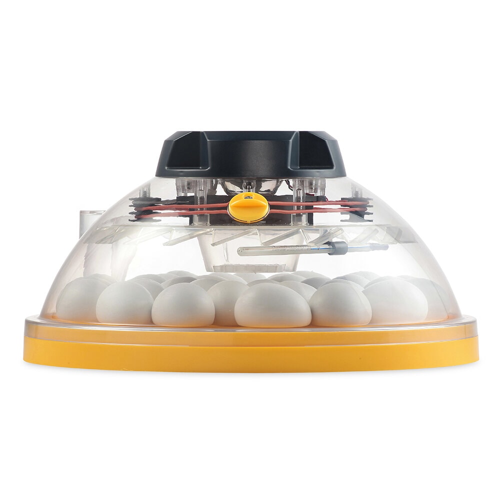 Äggkläckare Maxi II Eco