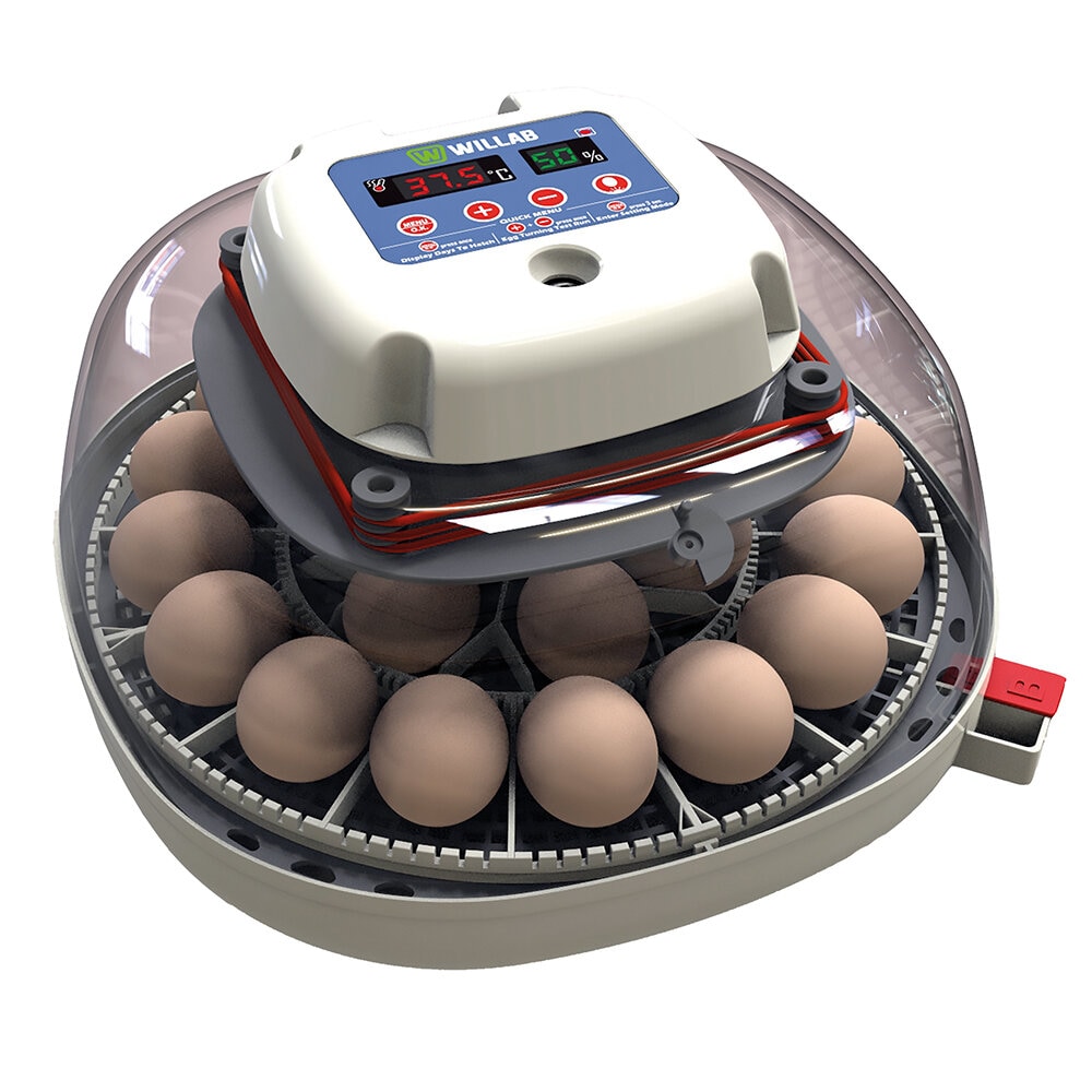Äggkläckare med inbyggd ägglampa