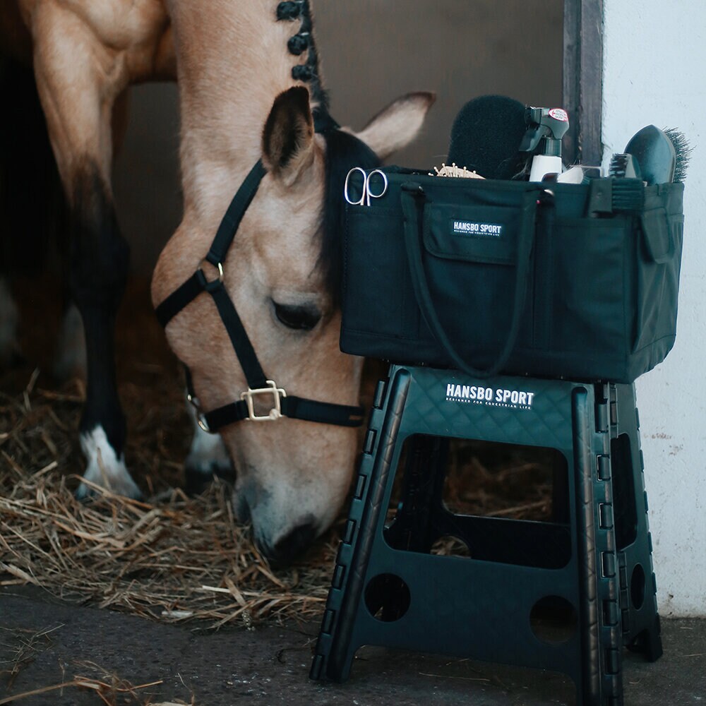 Grooming Bag