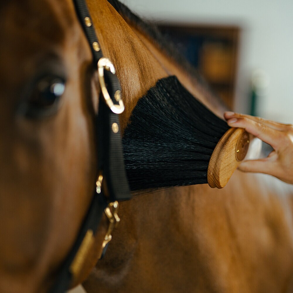 Bananborste PP X-lång