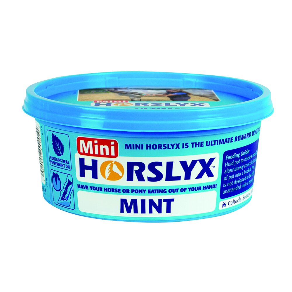 Slicksten Mint 650 g