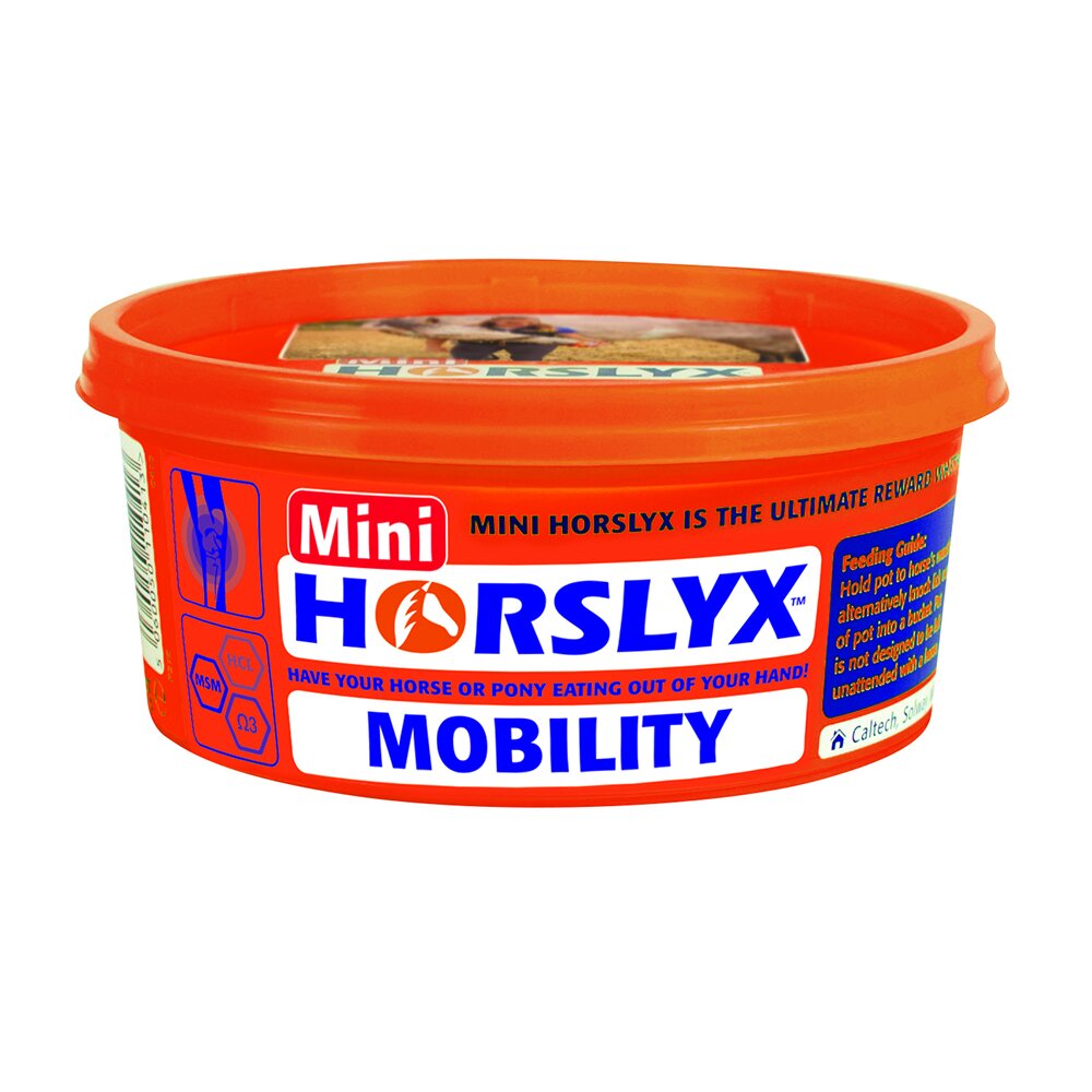 Horslyx Slicksten Mobility 650 g