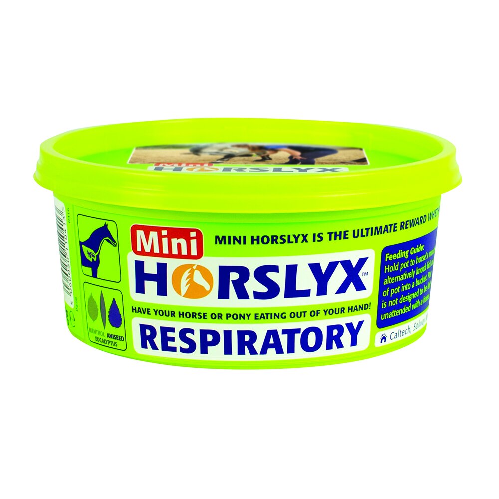 Horslyx Slicksten Respiratory 650 g
