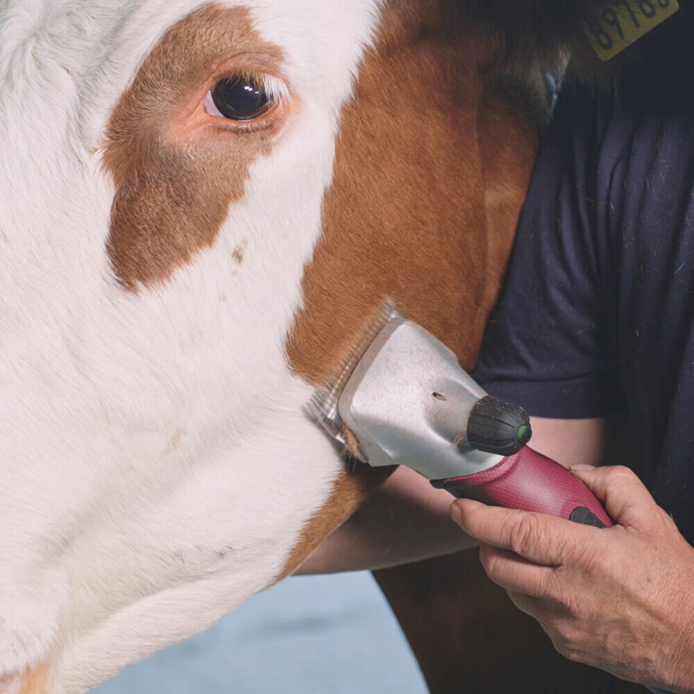 Klippmaskin Xplorer Pro 31/23 extra bat.