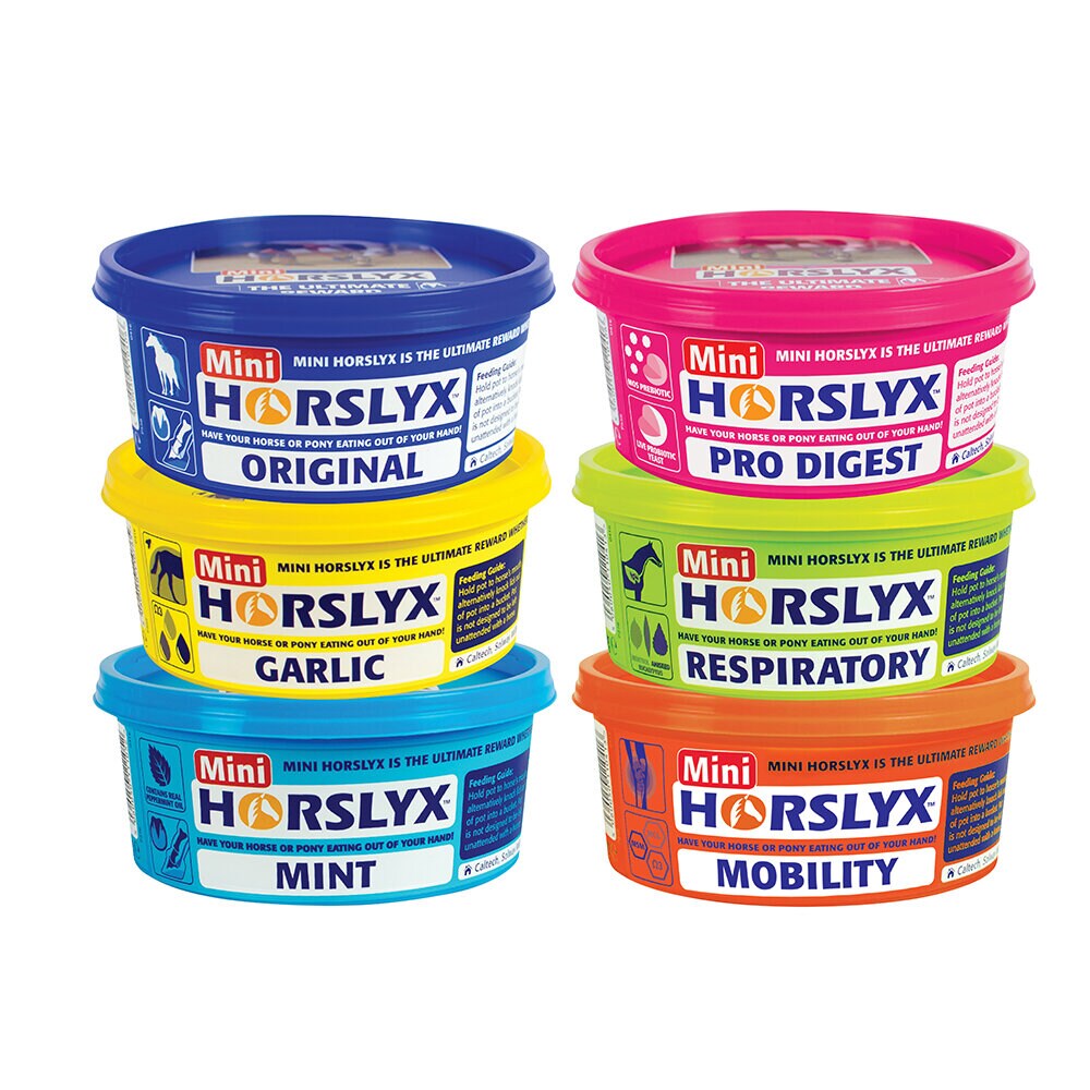 Slicksten 12-pack med sex olika smaker