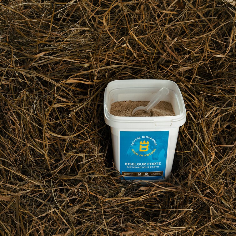 Kiselgur Forte - Willab
