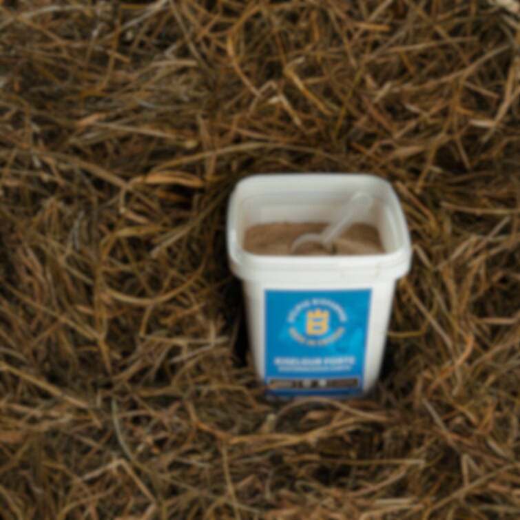 Kiselgur Forte - Willab