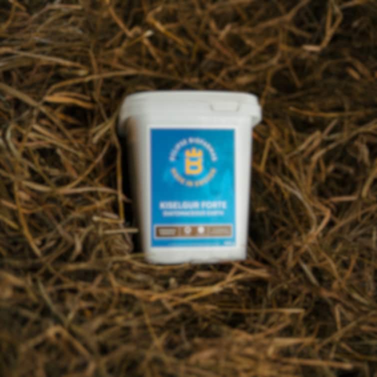 Kiselgur Forte - Willab