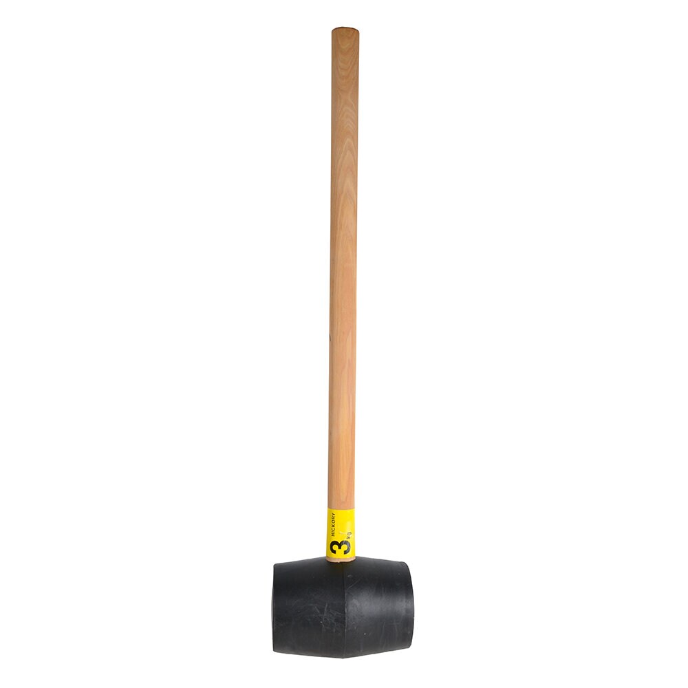 PålsläggaHickory