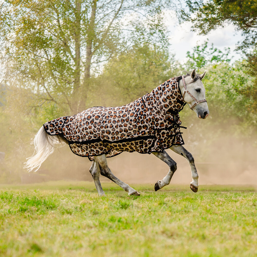 Flugtäcke Safari Breeze